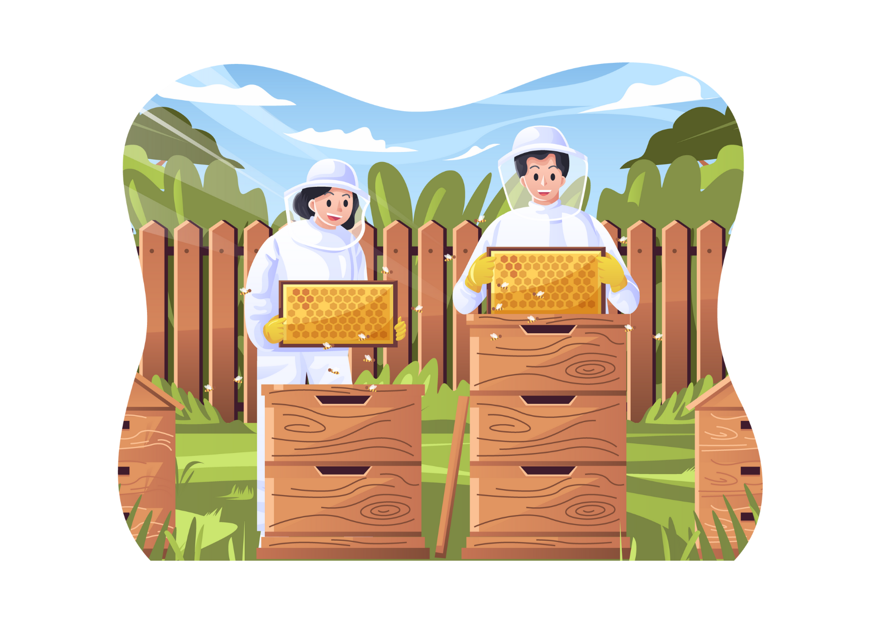Imker die sich um Bienen - Waben kümmern